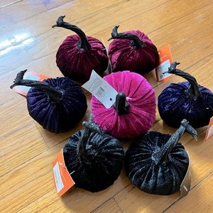 Pumpkin assorted variety Velvet 7 pieces NWT